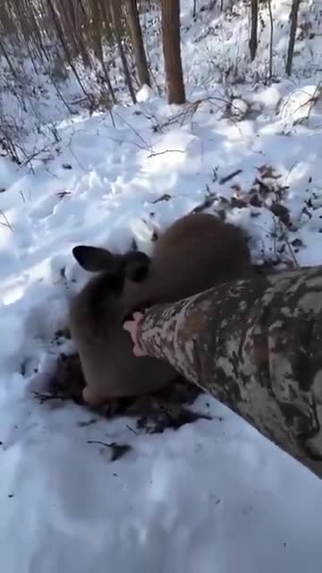 If not friend why friend shaped