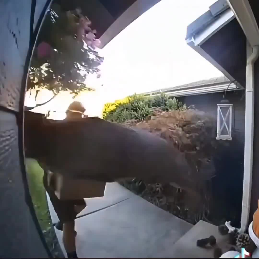 Some more Justice clips to go with your coffee.