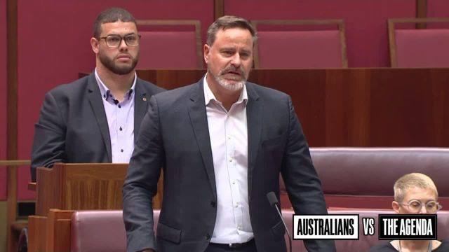 Greens Senator Peter Whish-Wilson has accused people of spreading misinformation in the immediate aftermath of the Bondi attack and is upset that everyone started blaming the Labor Government and the Greens.