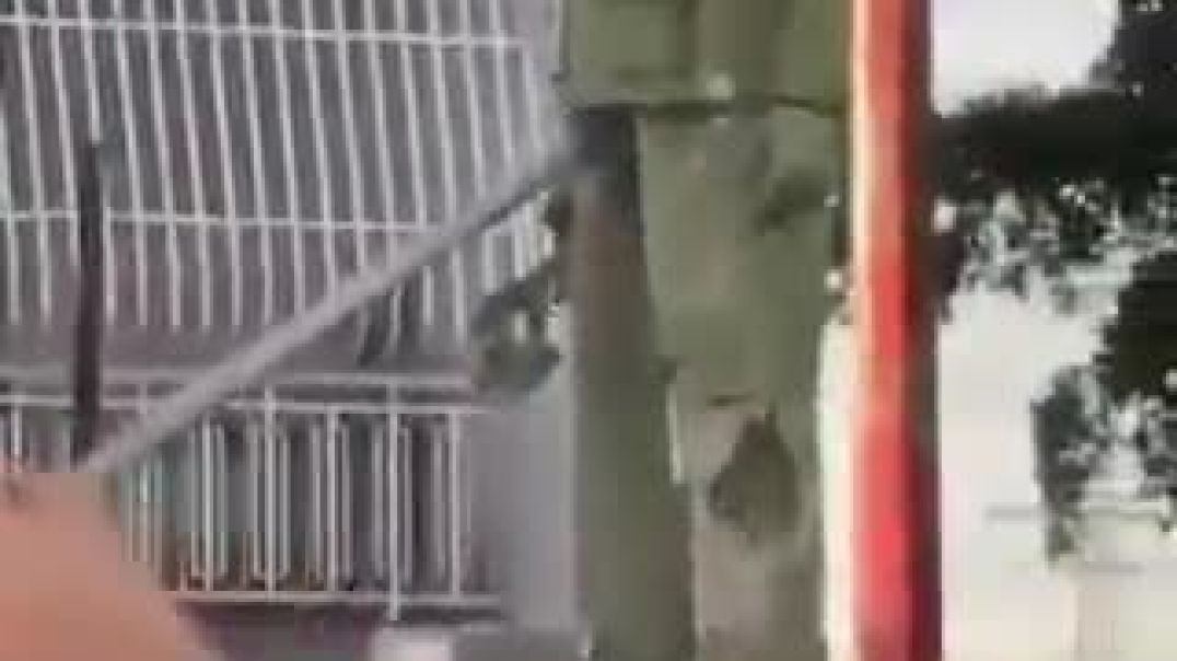 BREAKING: Venezuelans are removing dictatorship statues as Nicolas Maduro is in finally in CUSTODY!   The people are taking their country BACK!