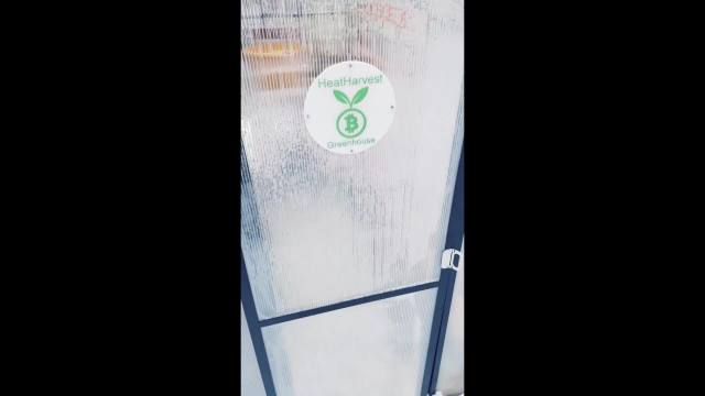 Even in the middle of a brutal snowstorm, Bitcoin mining rigs keep @BeeEvolved’s greenhouse humming at a cozy 80°F. Proof that Bitcoin mining can turn waste heat into real-world utility.