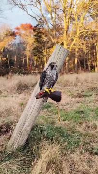 This is incredible  [📹 Thomas Deininger / tdeininger]