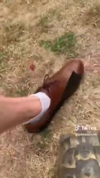 Funniest thing you’ll see all day😭😭😭