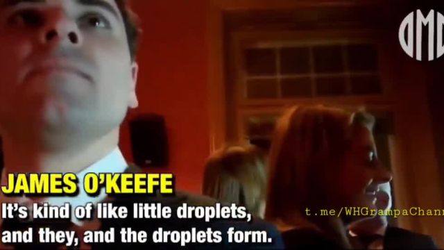 World Economic Forum elites openly confirm the chemtrails “conspiracy theory” ....