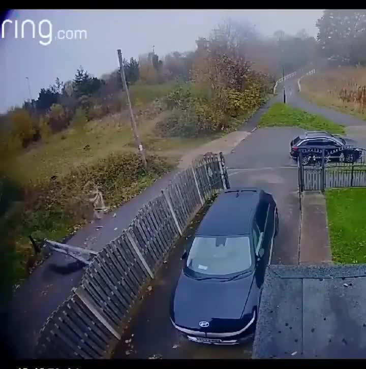 If I had a gate like this I'd set up a camera too 😭