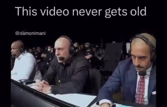 Alex Jones did not hold back 😭