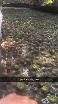 he's their new leader 😭