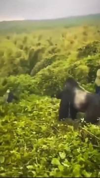 Everyone’s life flashed before their eyes🤯