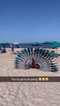 We didn't train ourselves to carry 20 grocery bags at once for nothing