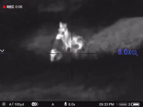 Sheep stayed calm bc he knew he had shooters