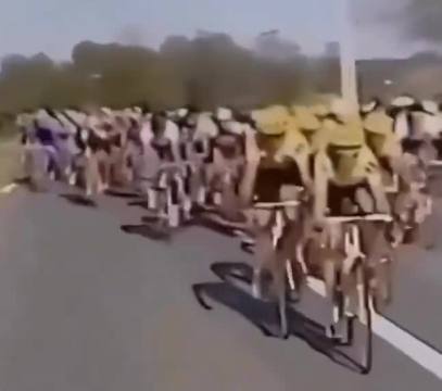 In 1997, a horse spotted a group of cyclists during a race and, without warning, decided to join them