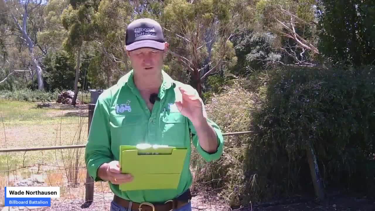 Bondi Beach attack - Labor and Greens Legacy - 16/12/2025