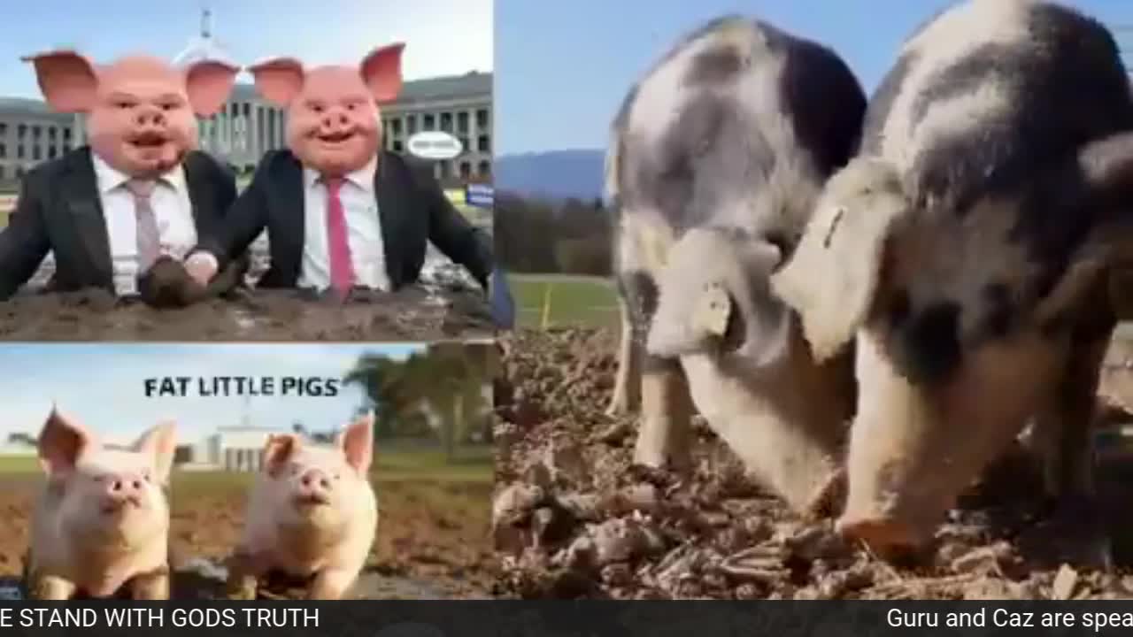 Tuesday Night Live World News 4th March 2025 7pm